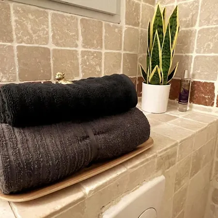 Bright Center Flat With Terrace * נים