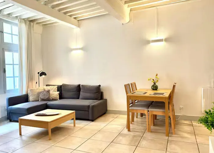 Daire Bright Center Flat With Terrace Nîmes